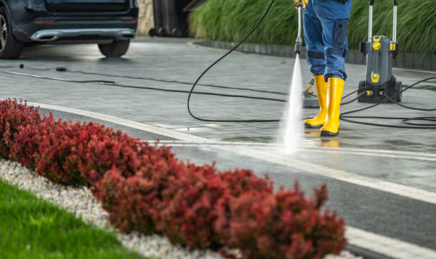 Best Fence Cleaning and Maintenance in Early, TX